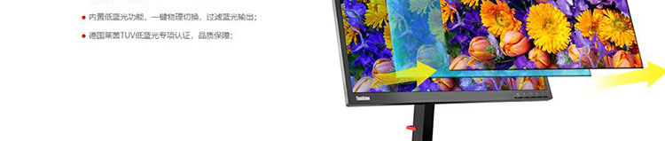 聯想ThinkVision TE24-10顯示器