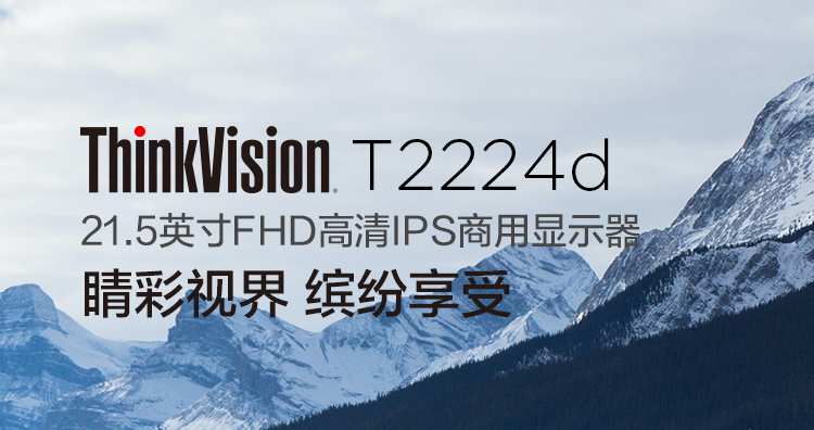 聯想ThinkVision T2224d顯示器