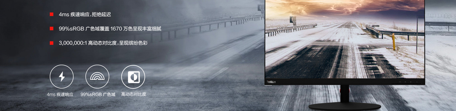 聯想ThinkVision P25m-10顯示器