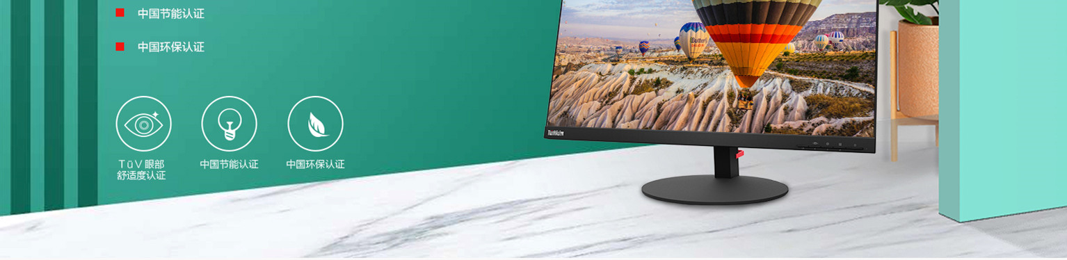 聯想ThinkVision P25m-10顯示器